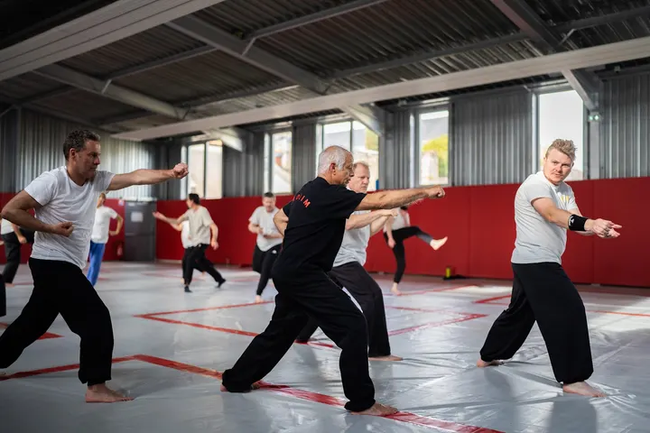 Võ Viêtnam / Võ Sao Lim - Arts Martiaux au Mans — Arts martiaux à Gare Nord, Le Mans