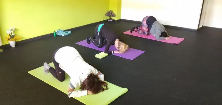 Som Fit — entrenamiento personal-studio en Calella — 3