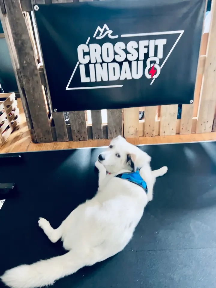 WERKSTATT22 — functional training-studio in Lindau (Bodensee) — 2