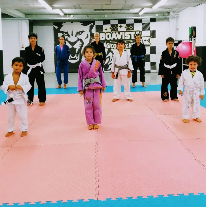 Boavista Jiu Jitsu (BJJ&MMA) — jiu-jitsu brasileiro-studio em Ramalde, Porto — 2