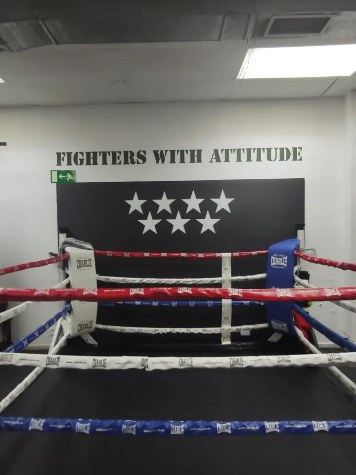 Muay Thai Leal — Artes marciales en Tetuán, Madrid