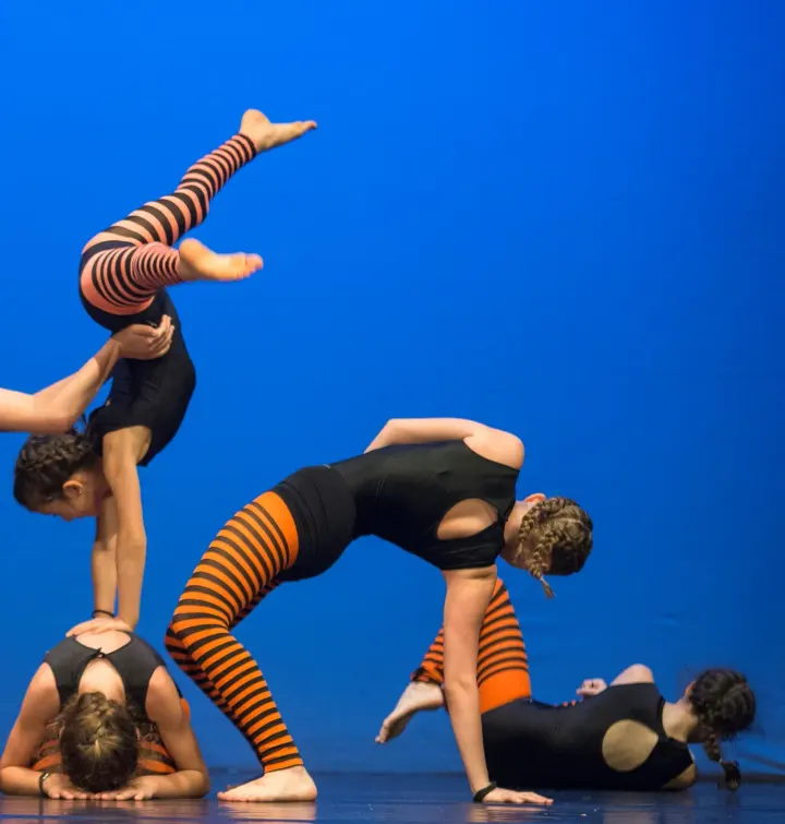 Art-Gymn Ginnastica Artistica — danza-studio a Galvani, Bologna — 3