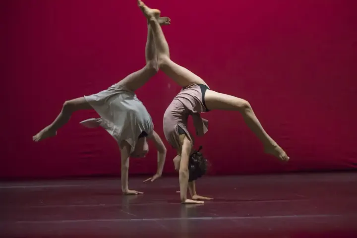 Art-Gymn Ginnastica Artistica — danza-studio a Bologna — 3