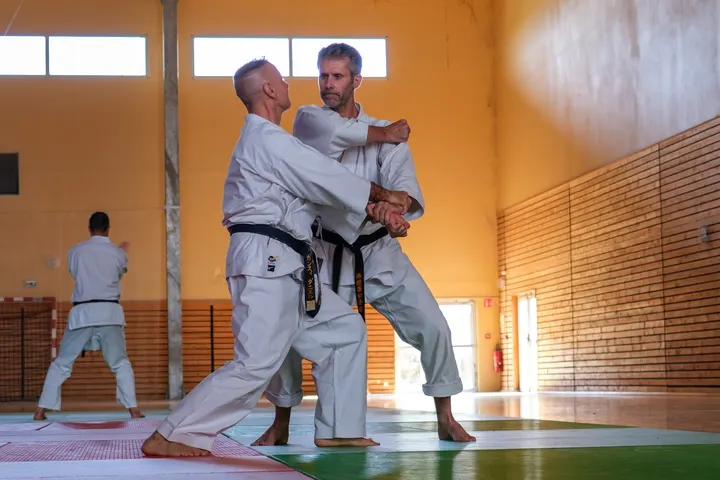 France Shotokan Karaté 3 — arts martiaux-studio à Marseille — 3