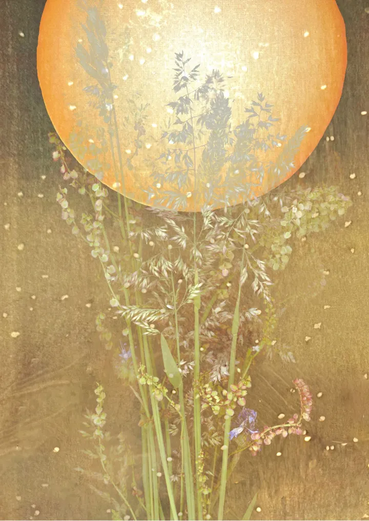 De Meditatietuin — meditatie-studio in Amsterdam — 4
