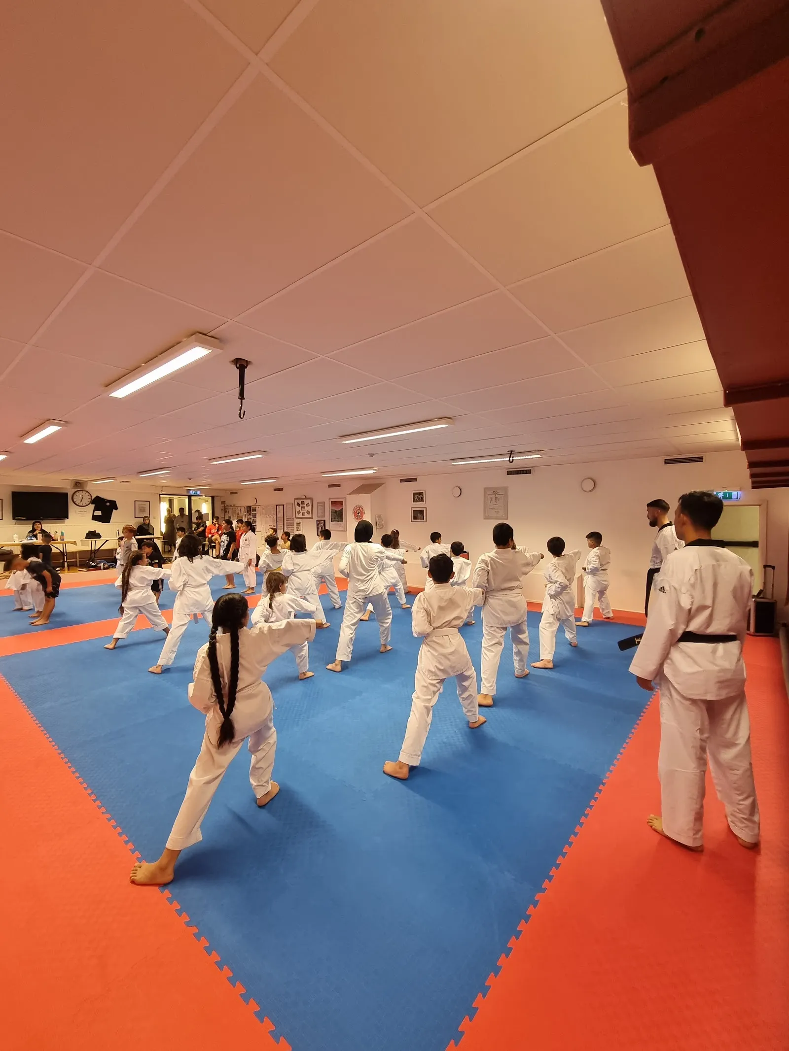 Proud Taekwondoklubb Helsingborg — kampsport-studio i Helsingborg — bild 3