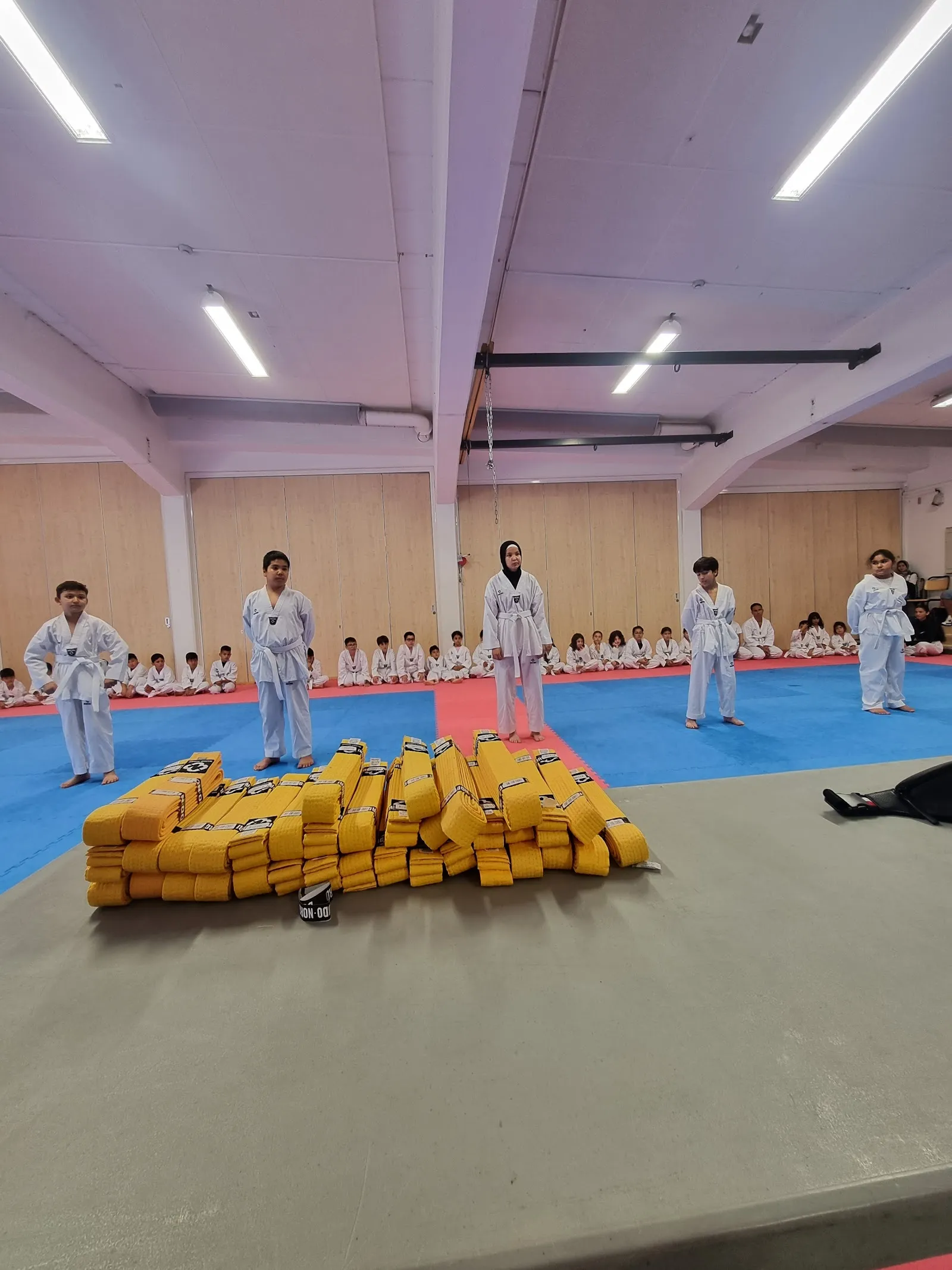 Proud Taekwondoklubb Helsingborg — kampsport-studio i Helsingborg — bild 4