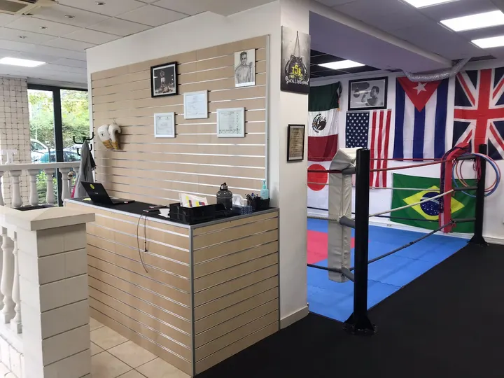 TSB 38 - Team samir boxing — Boxe à Grenoble