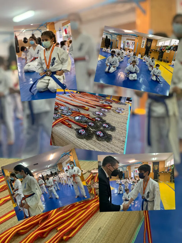 Budokan Sevilla — artes marciales-studio en Sevilla — 5