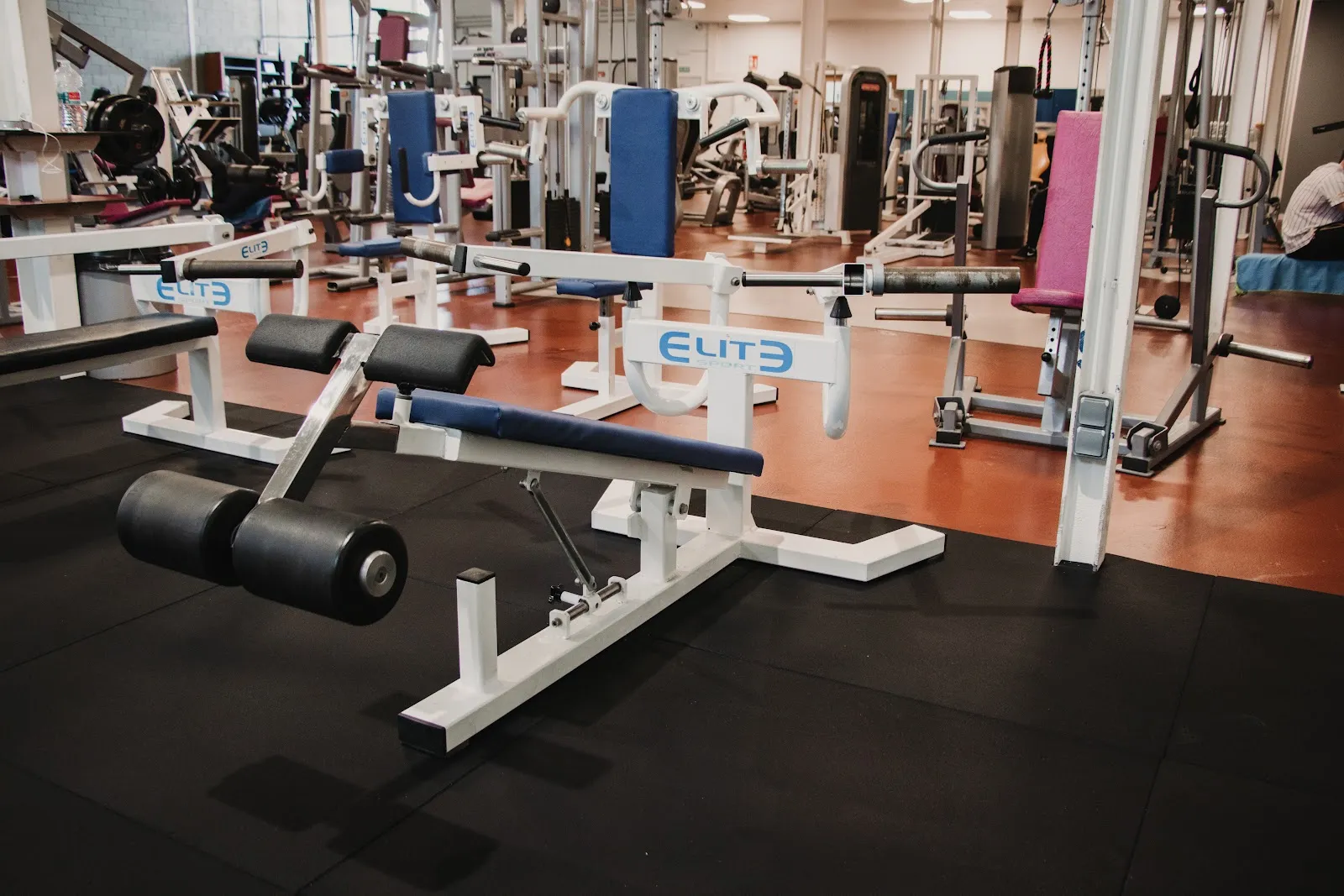 ELITE SPORTING — estudio de fitness-studio en San Ignacio-Sierra — 2