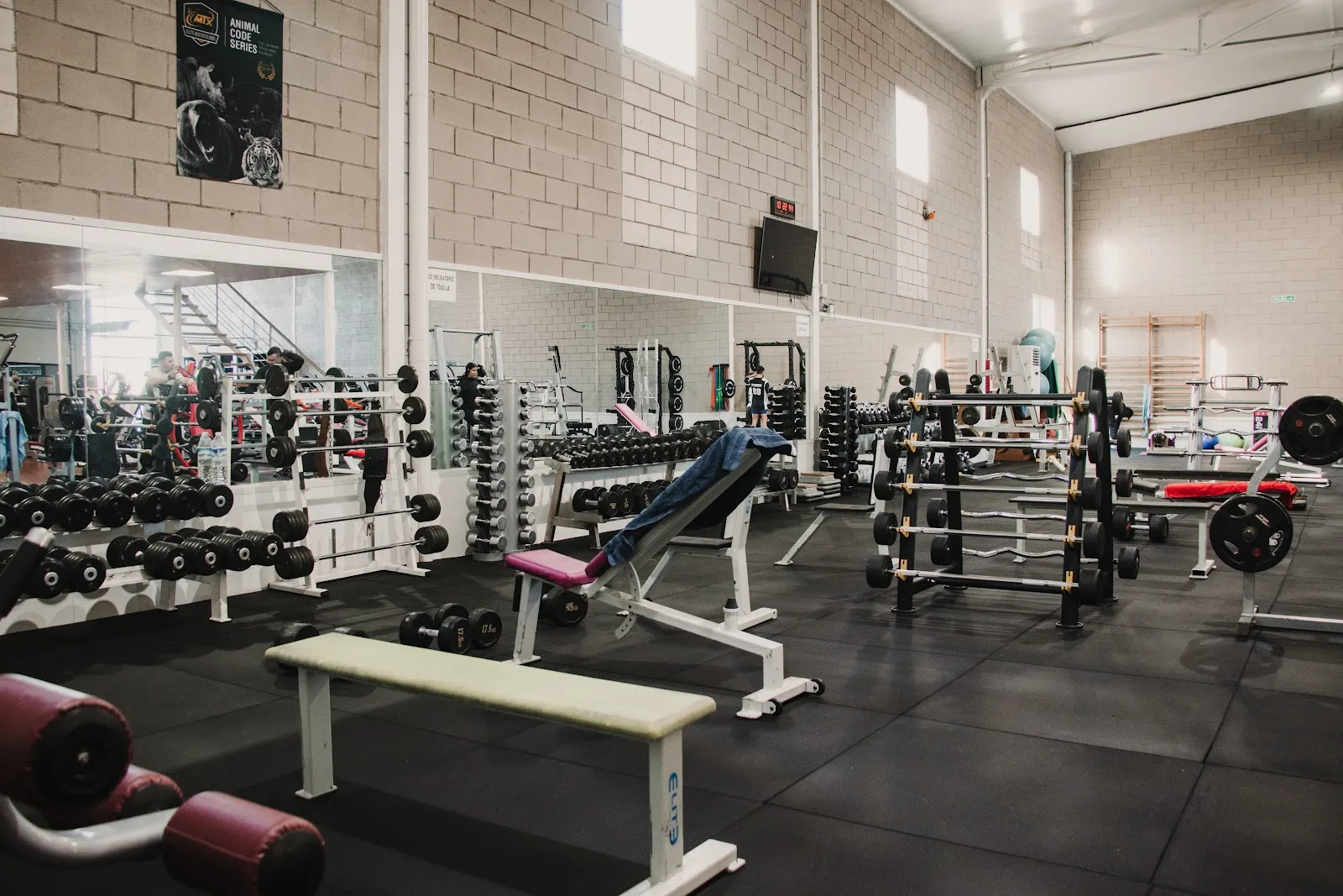 ELITE SPORTING — estudio de fitness-studio en San Ignacio-Sierra — 3