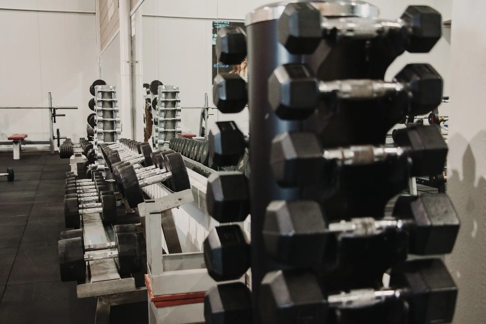 ELITE SPORTING — estudio de fitness-studio en San Ignacio-Sierra — 4
