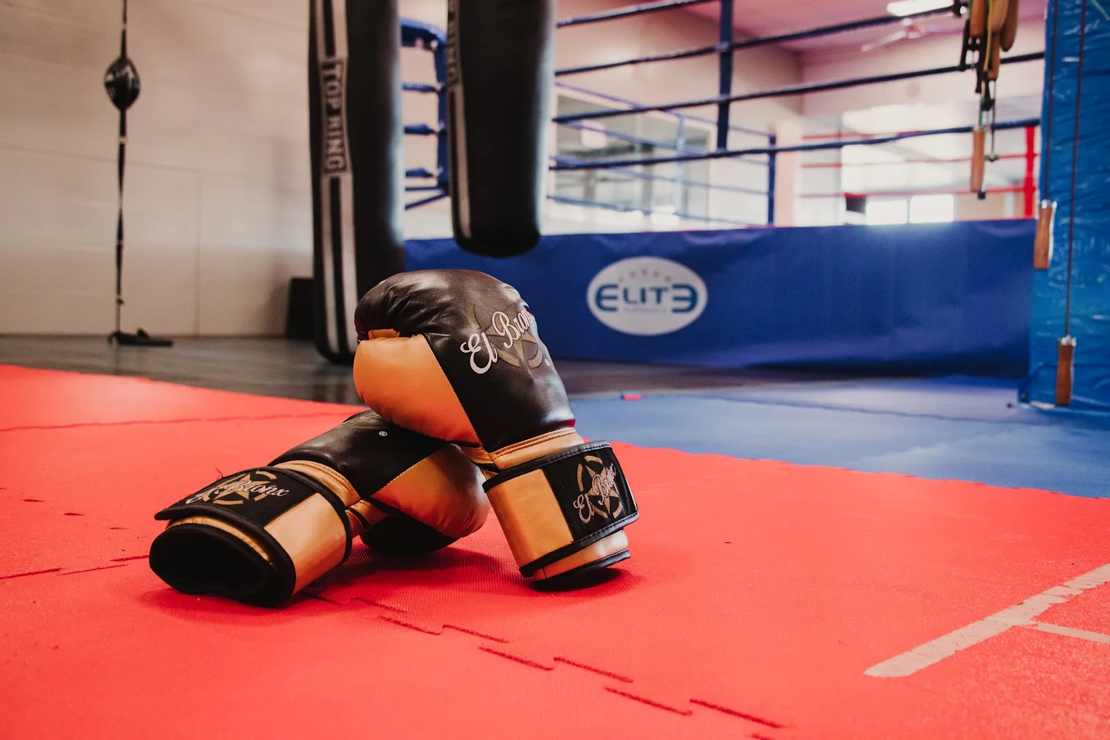 ELITE SPORTING — estudio de fitness-studio en San Ignacio-Sierra — 5