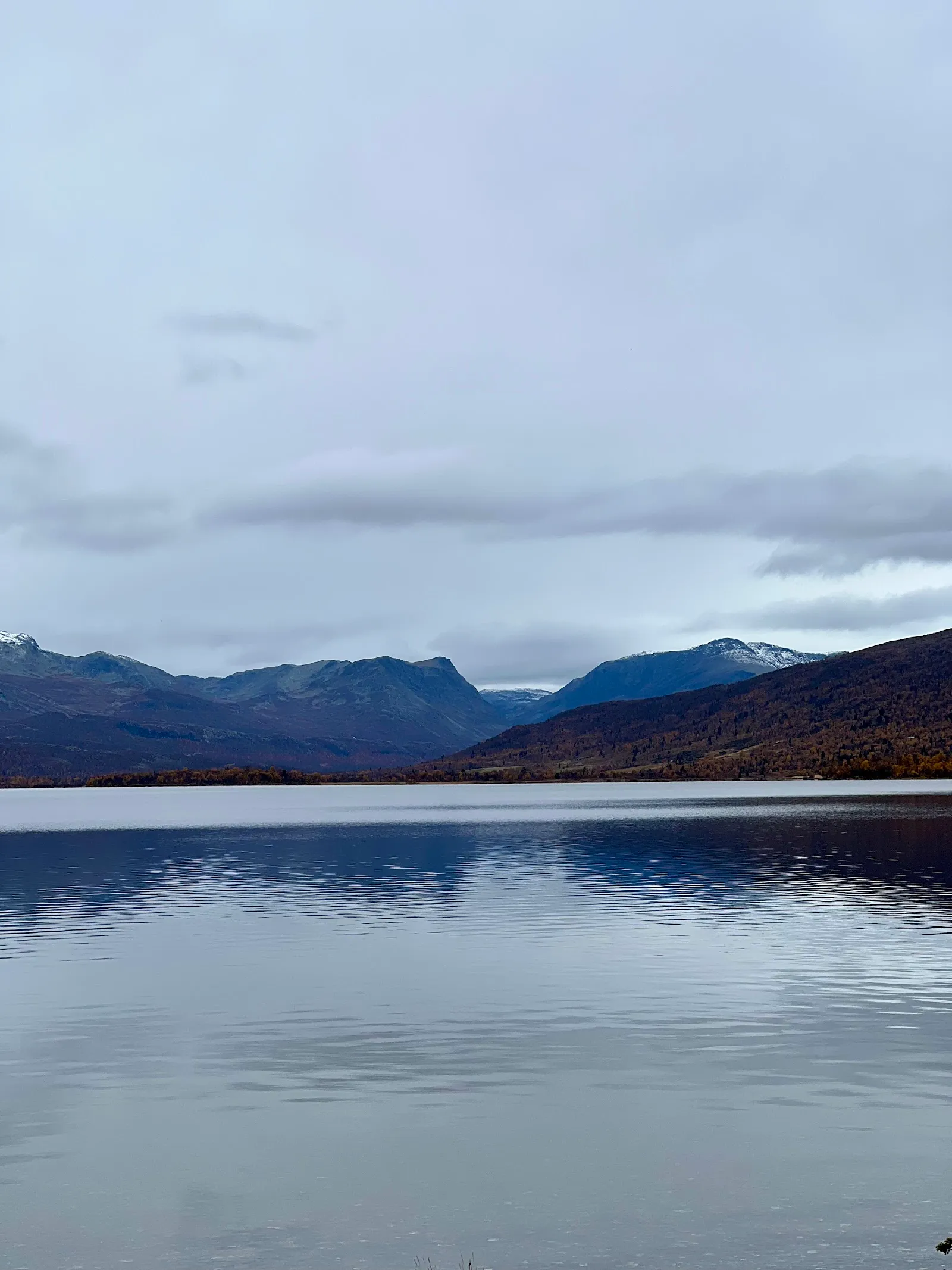 Fjell & Fjord Yoga — yoga-studio i Vollen — 2