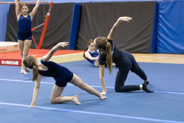 Allegro School Of Gymnastics — gymnastics-studio in Orpington, London — 3