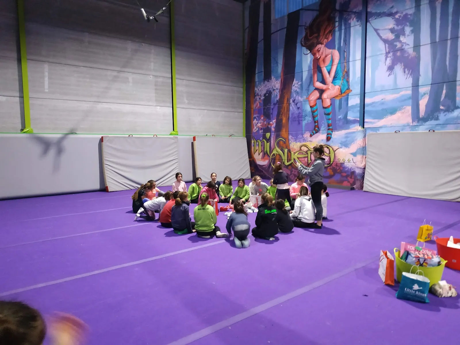 Centro de Enseñanza Artística y Acrobática Balans — gimnasia-studio en Albolote — 5