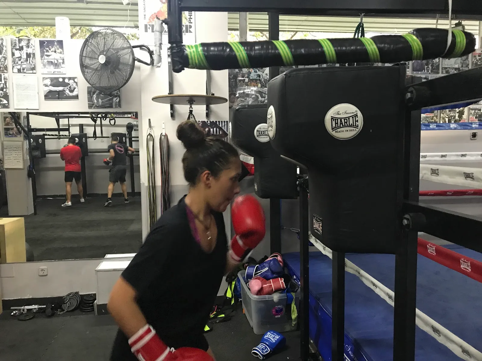 Escuela de Boxeo César Cepeda — artes marciales-studio en Móstoles — 3