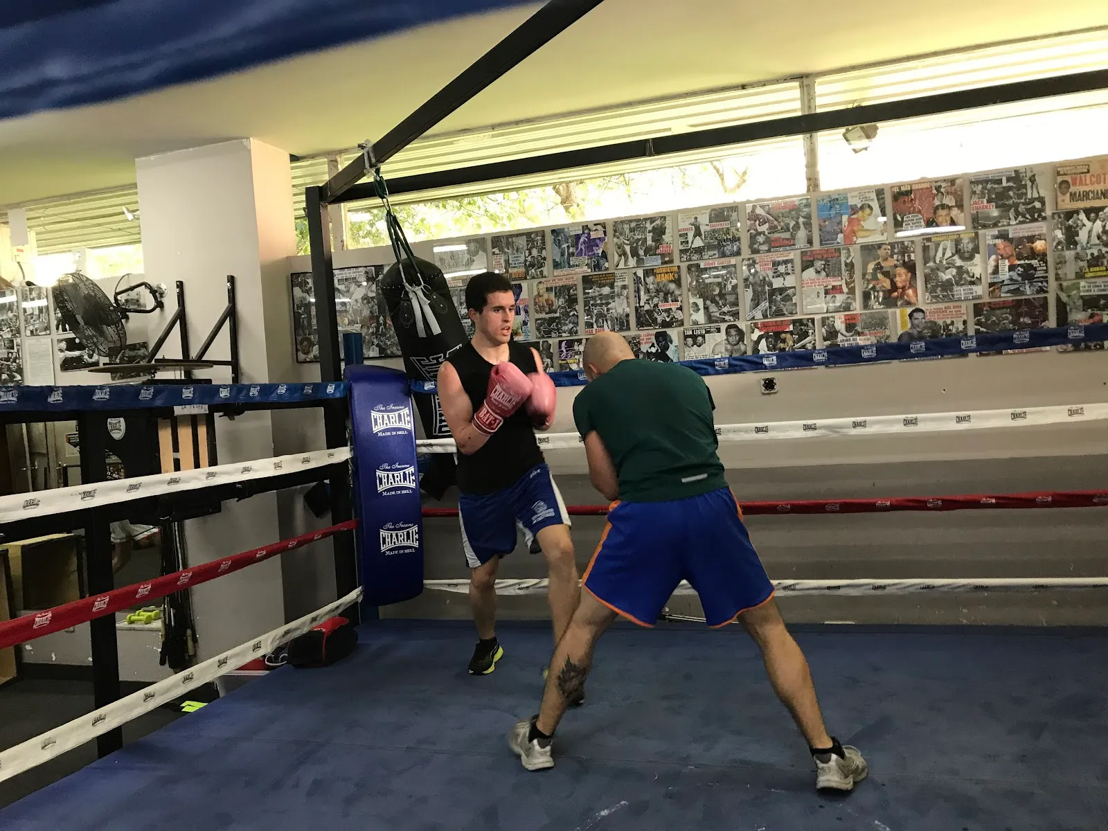 Escuela de Boxeo César Cepeda — artes marciales-studio en Móstoles — 5