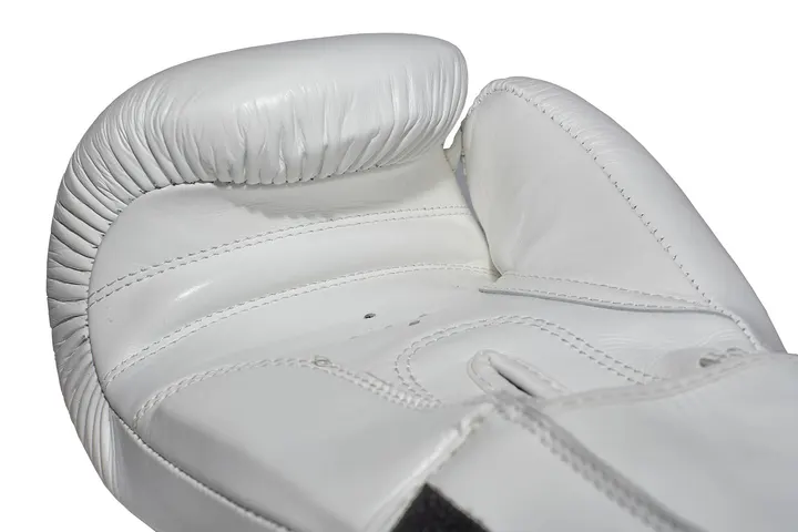 Escuela de Boxeo César Cepeda — Artes marciales en Móstoles