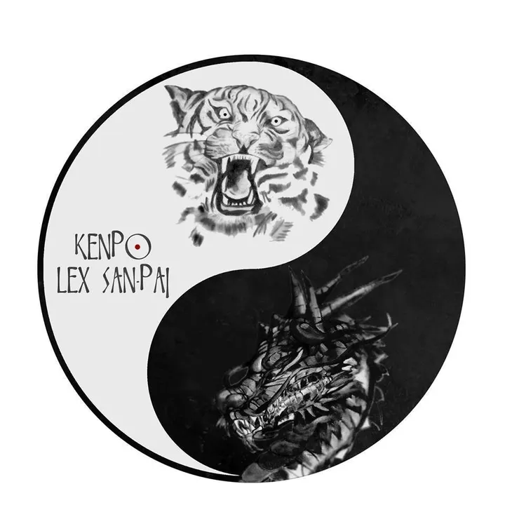 Kenpo Lex San Pai. — kampsport-studio i Skien — 4