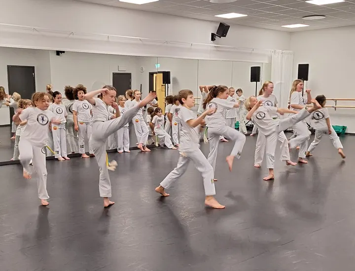 Föreningen Norte Capoeira — kampsport-studio i Göteborg — 3