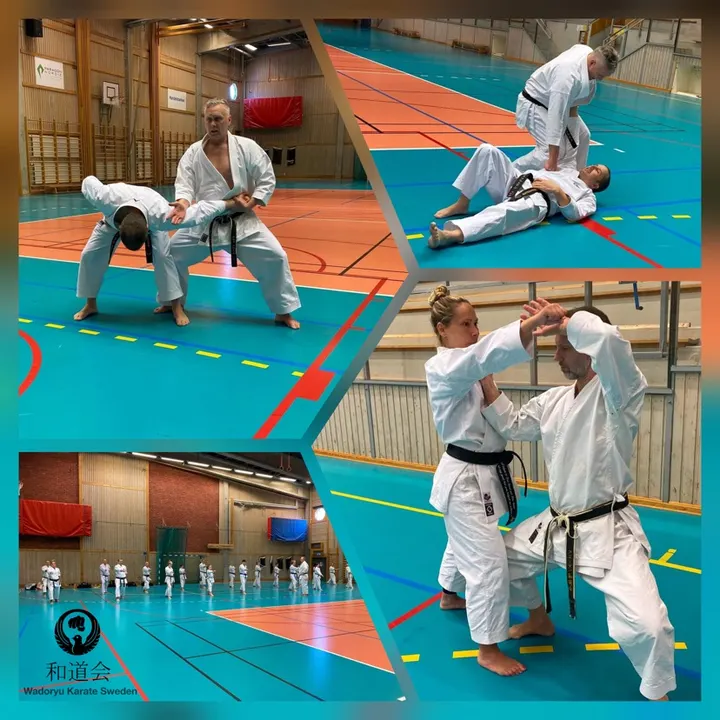 Wadoryu Karate Sweden — martial arts-studio in Vallentuna, Stockholm — 3