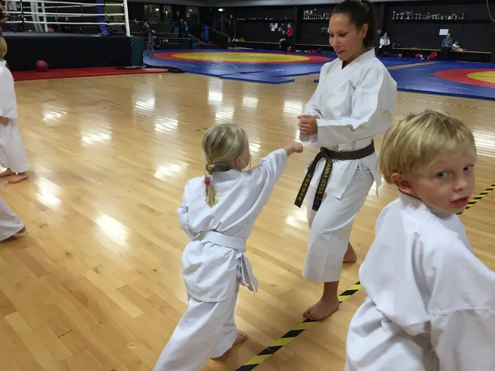 Wadoryu Karate Sweden — martial arts-studio in Stockholm — 3