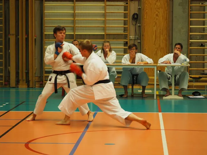 Wadoryu Karate Sweden — martial arts-studio in Stockholm — 4