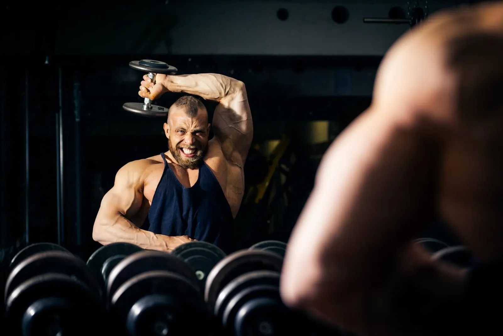 Arendal sport & Fitness-senter AS — treningsstudio-studio i Arendal — bild 3