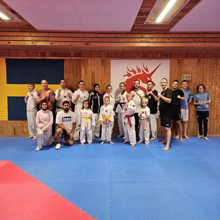 Svedala Taekwondo Akademi — kampsport-studio i Malmö — 2