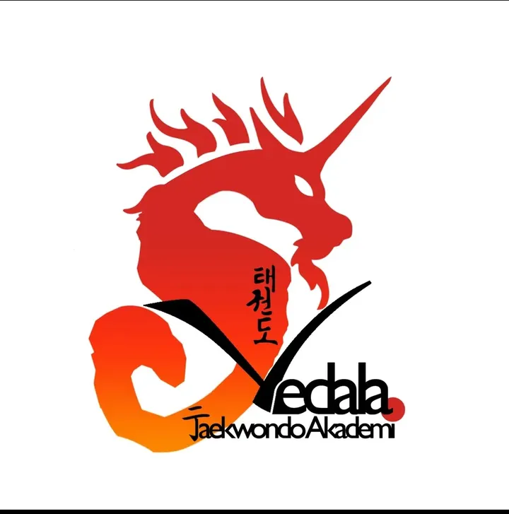 Svedala Taekwondo Akademi — kampsport-studio i Malmö — 3