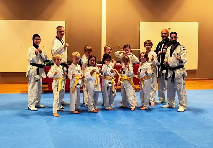 Svedala Taekwondo Akademi — Martial Arts in Svedala
