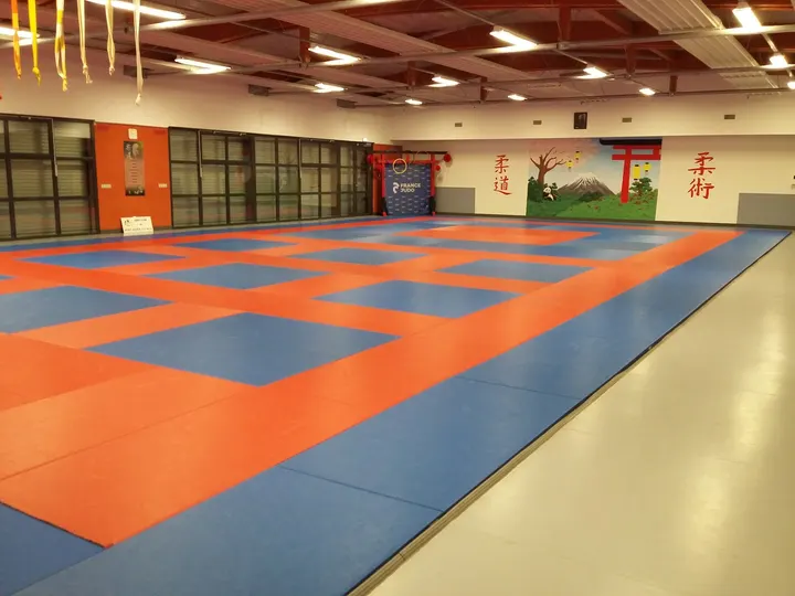 Judo Club Saint-Julien-lès-Metz — arts martiaux-studio à Grimont, Saint-Julien-lès-Metz — 2