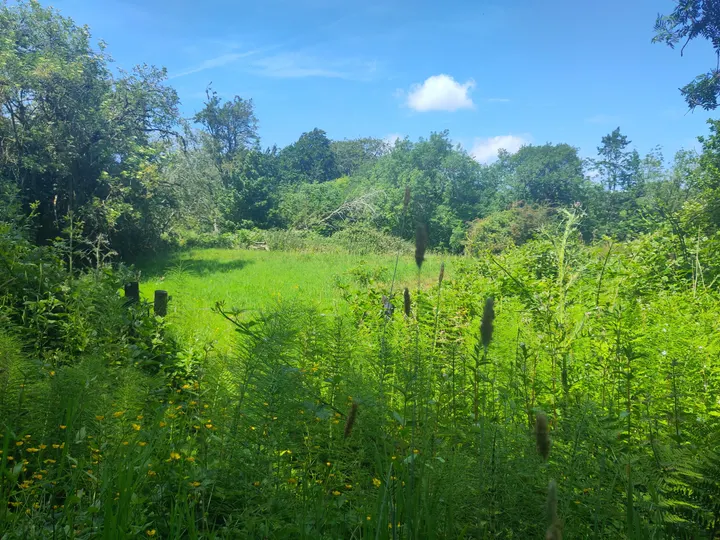 Yoga Nature Sheffield, South Yorkshire, S — Yoga in Highfield, Sheffield