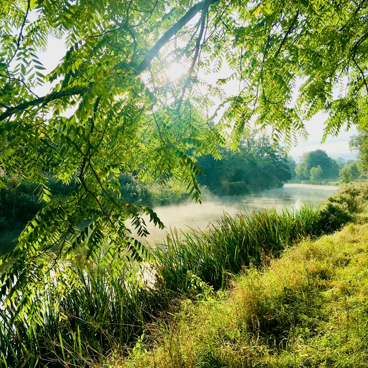 OPBLOEIEN MET YOGA & MINDFULNESS — yoga-studio in Binnenstad, Utrecht — 2