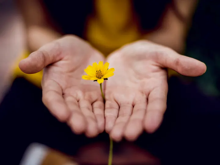 OPBLOEIEN MET YOGA & MINDFULNESS — yoga-studio in Utrecht — 3