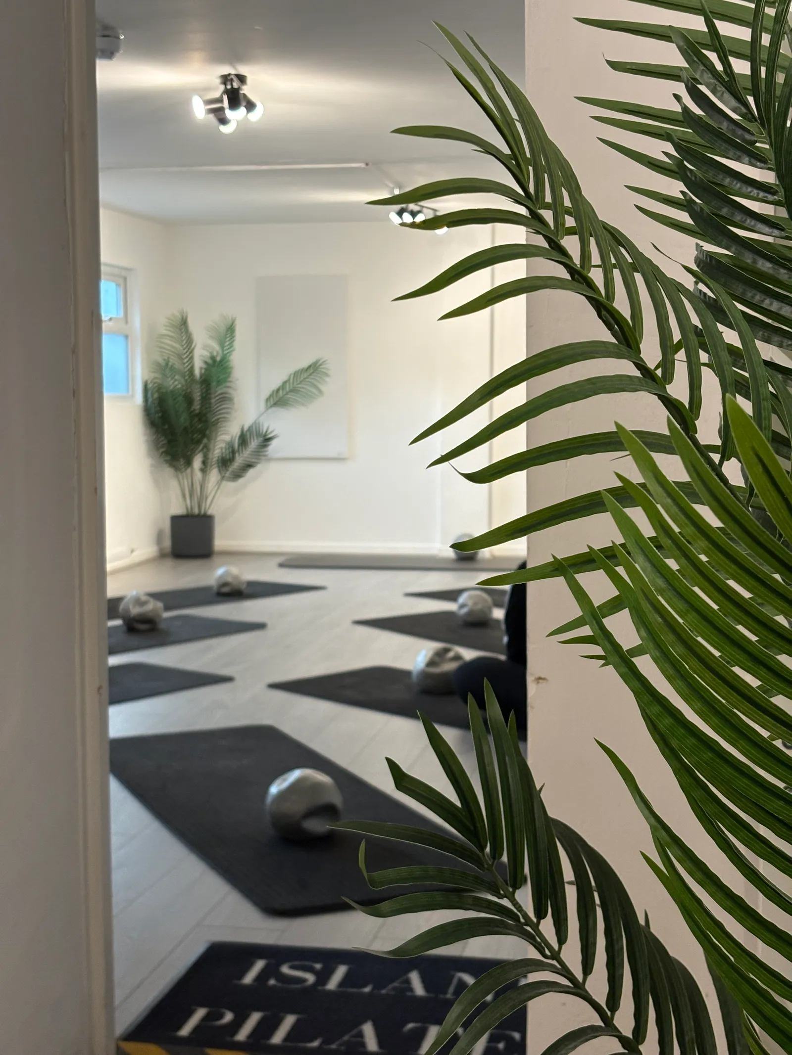 Island Pilates — pilates-studio in St Asaph — 3
