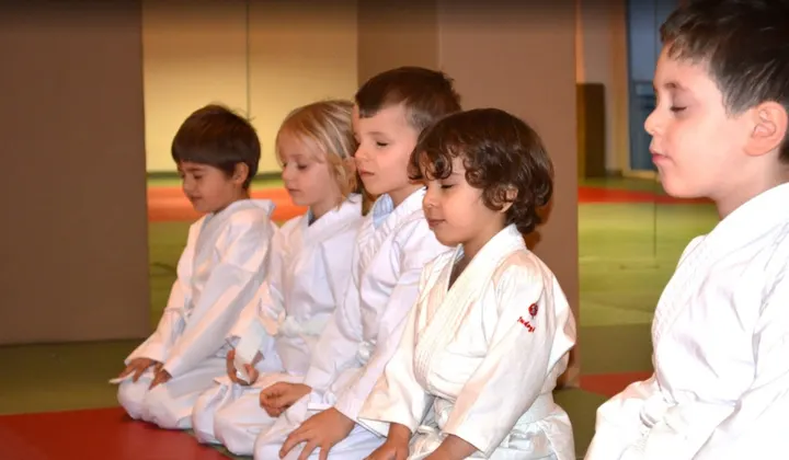 SPORTSCHULE-DOME | Kampfkunst in Frankfurt-Bockenheim seit 1969 — bjj-studio in Bockenheim, Frankfurt am Main — 3