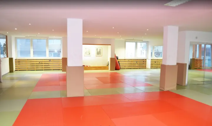 SPORTSCHULE-DOME | Kampfkunst in Frankfurt-Bockenheim seit 1969 — bjj-studio in Frankfurt am Main — 3
