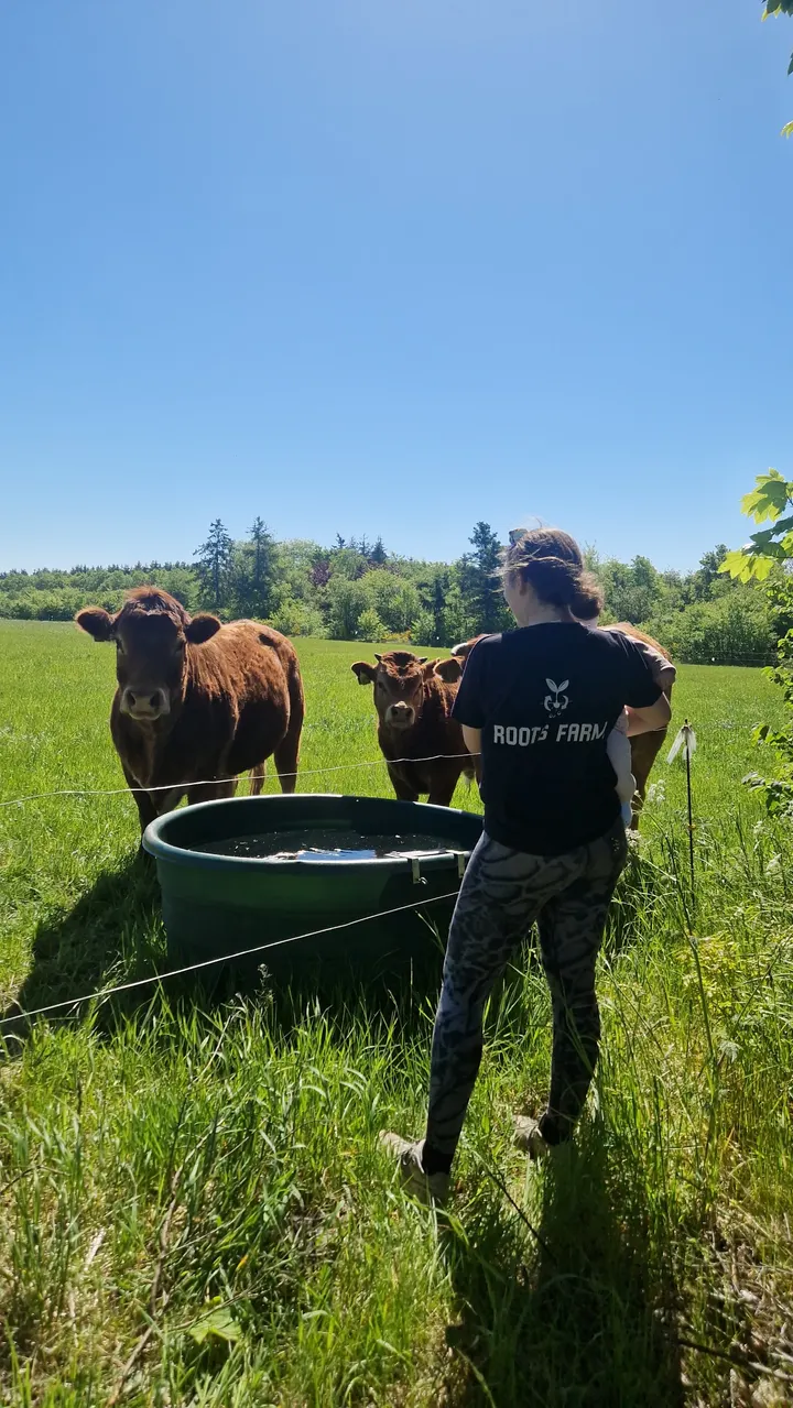 Roots Farm Fitness — træningsstudio i Bording — 3