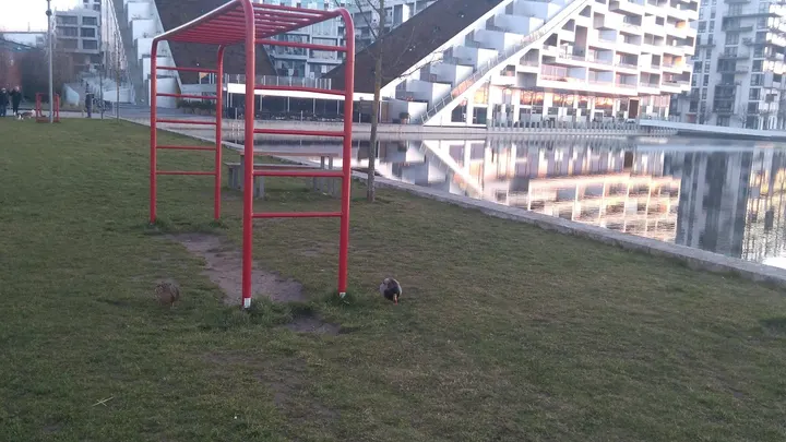 Udendørs fitness — træningsstudio i Ørestad, København — 3