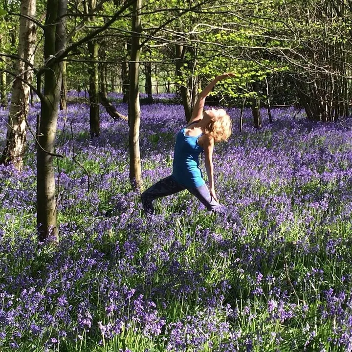 Yorkshire Centre for Wellbeing — yoga-studio in Harrogate — 5