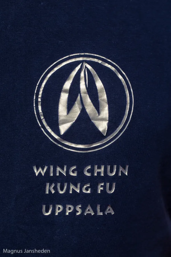 Wing Chun Uppsala — kampsport-studio i Sommarro, Uppsala — 3