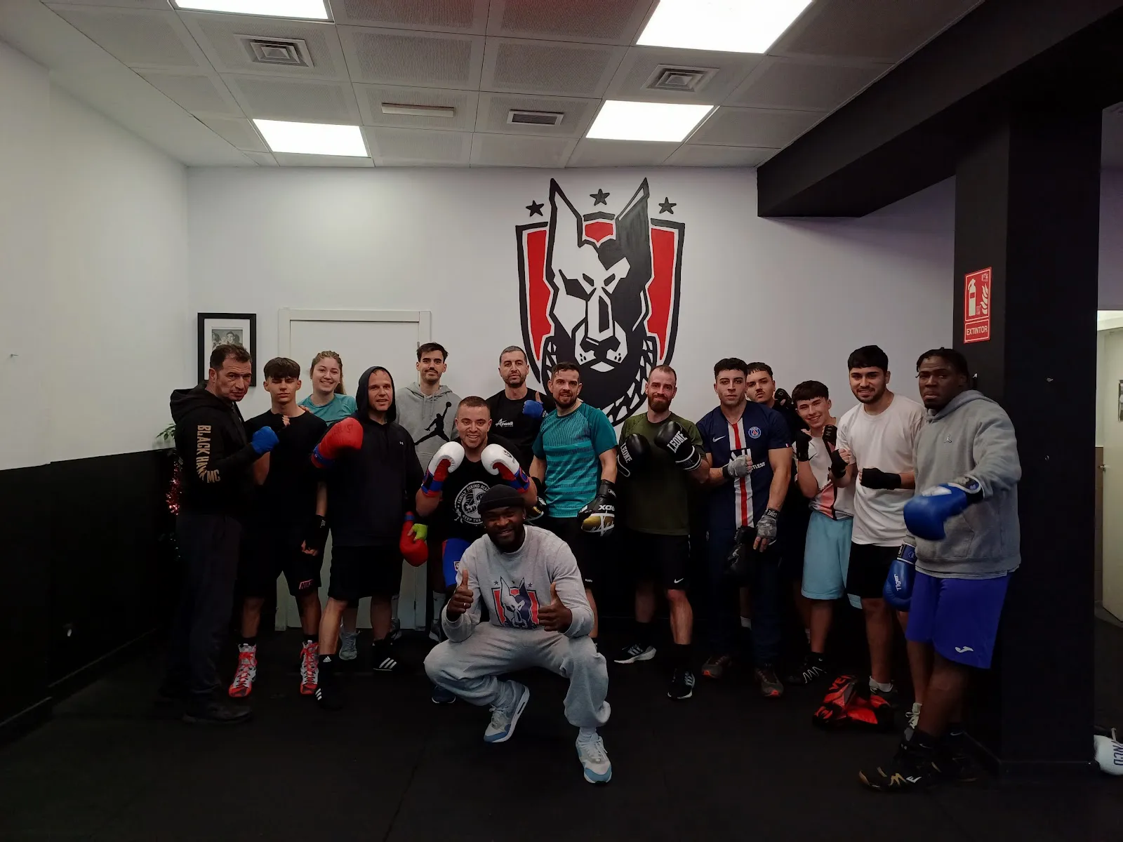 Dog House Boxing S.L. — artes marciales-studio en Europa, Fuenlabrada — 2