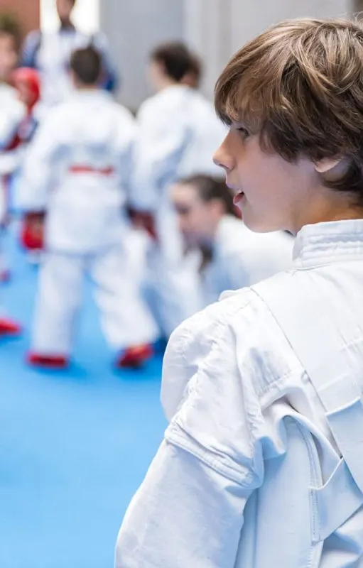 Karate Seijaku — Martial Arts en Montesoria, Logroño