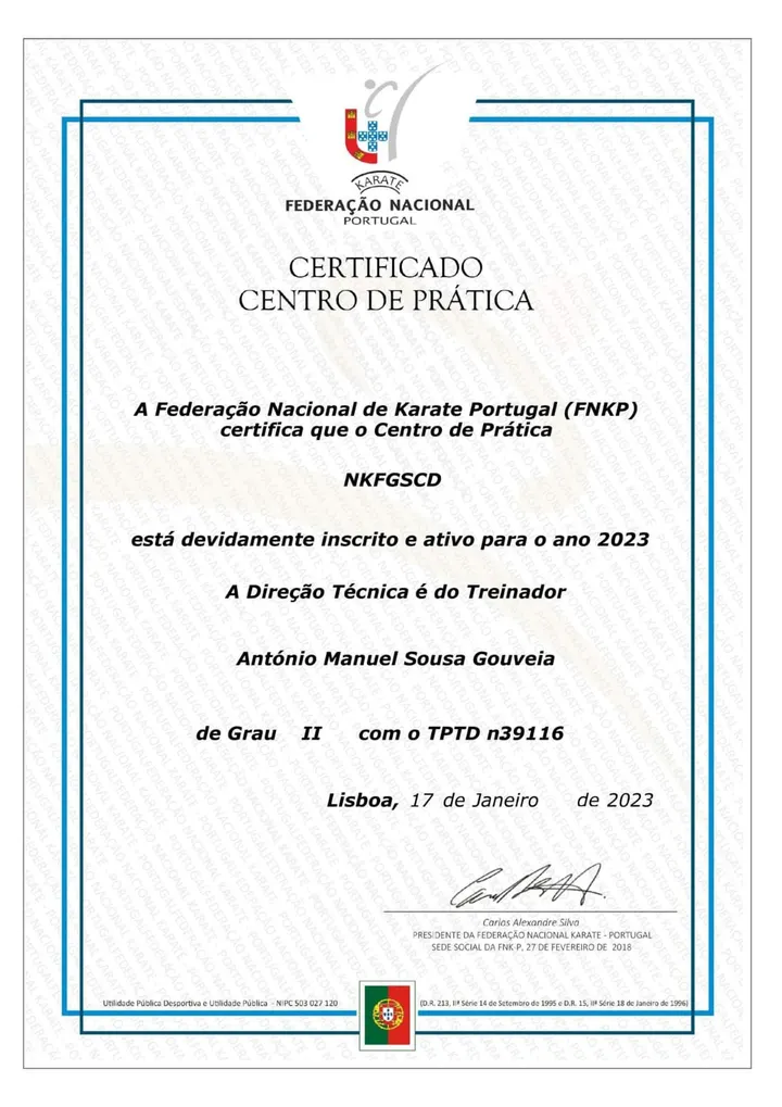 APDEF — Artes marciais em Viseu