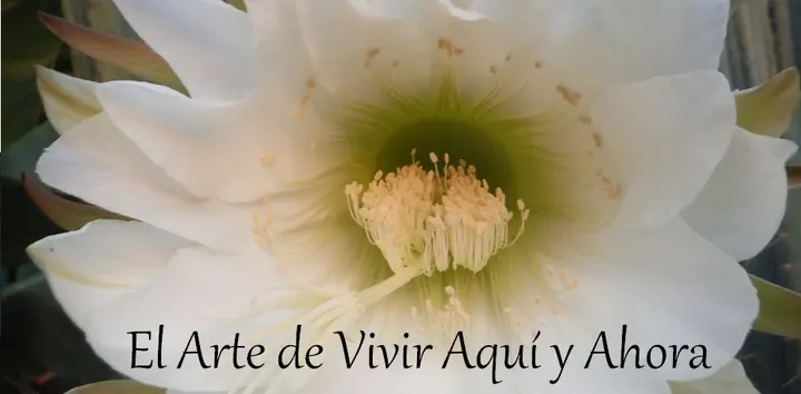 Centro Mindfulness Málaga — meditación-studio en Torre del Mar — 5