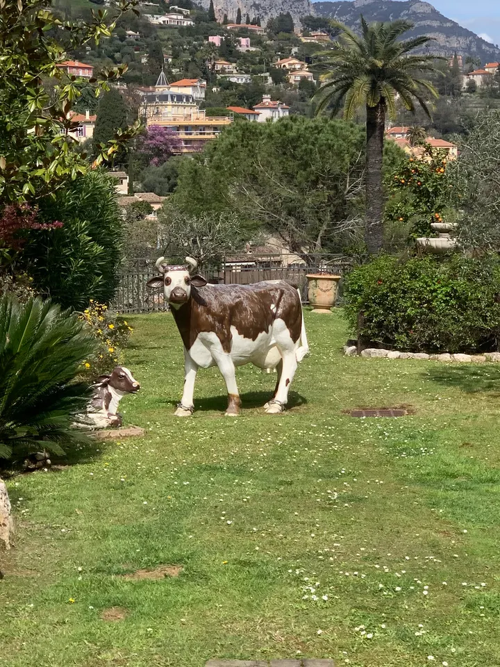 Vence Yoga — yoga-studio à Nice — 4