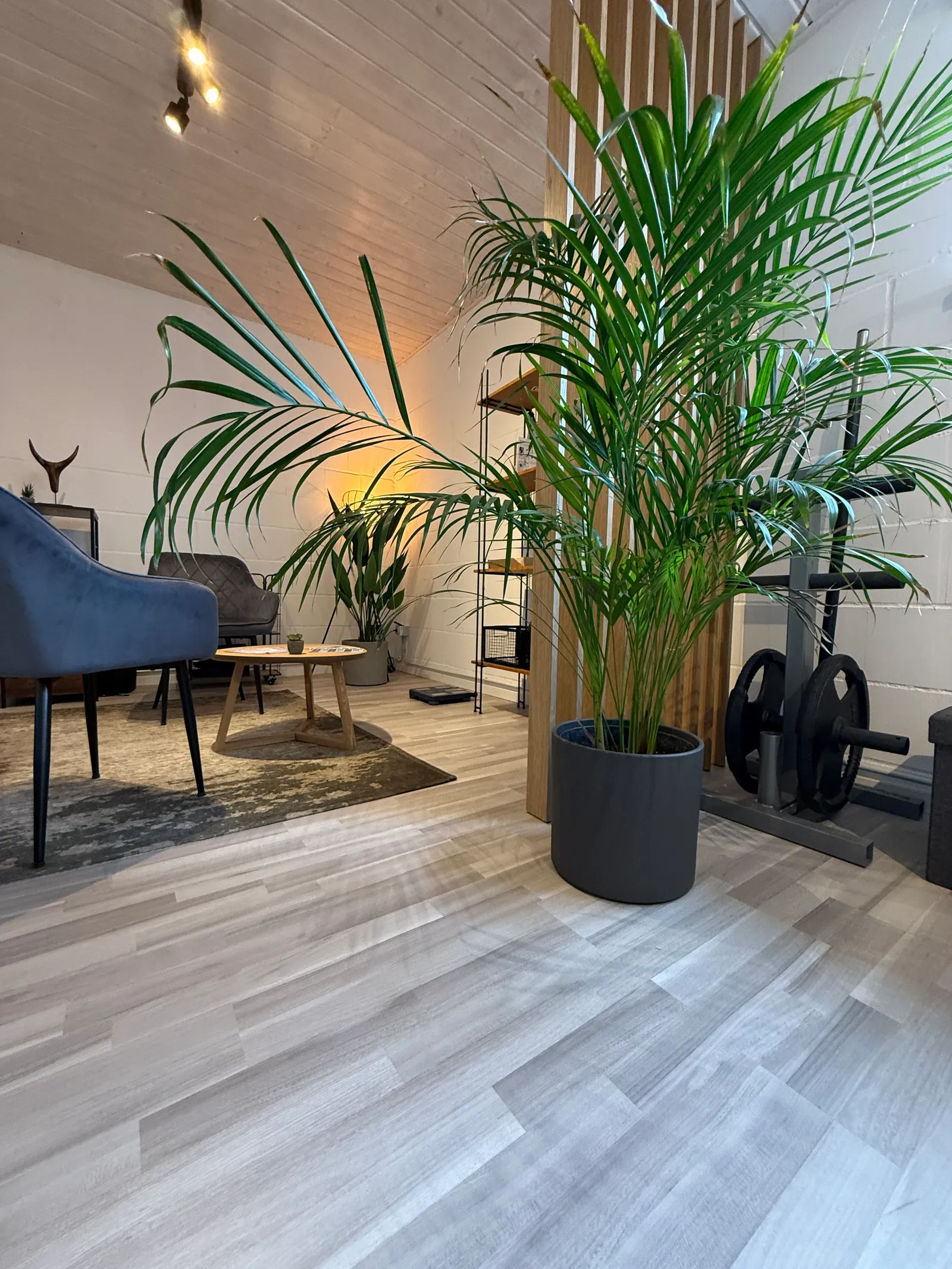 Motus Sportstudio — träningsstudio i Aachen — 5