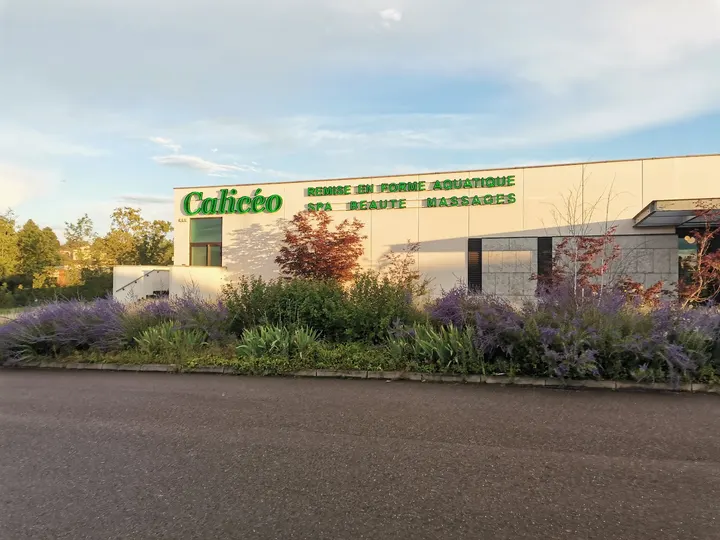 Calicéo — récupération-studio à Lyon — 5